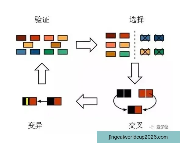世界杯足球竞猜投注攻略 深入分析各大球队实力与赔率变化
